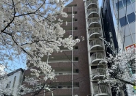 到日本读研的条件和程序是什么？