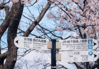 日本留学签证条件有哪些？材料需要哪些？