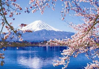 日本留学文科专业选择有哪些以及名校推荐？