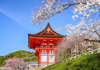 日本能源环境专业留学怎么样以及名校推荐？