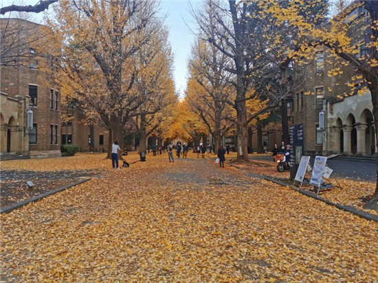 日本东京大学留学条件