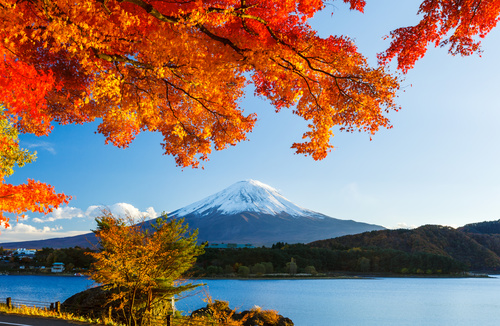 日本留学的条件和要求,日本留学申请条件