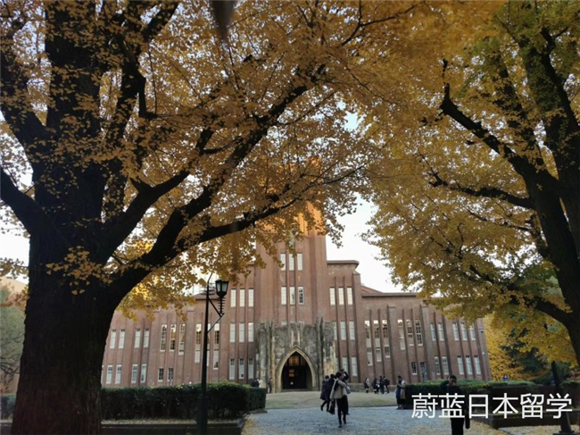 日本东京大学留学条件,赴日留学