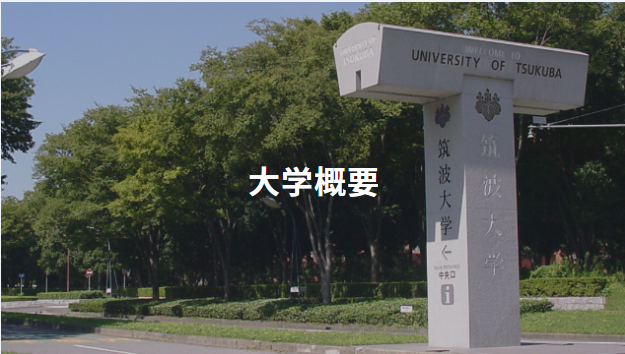 日本的国立大学,赴日留学