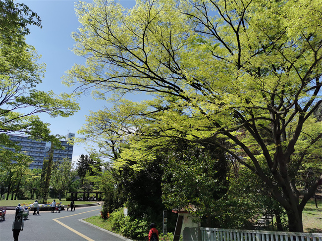 日本京都大学硕士研究生申请条件,赴日读硕,京都大学研究生申请条件