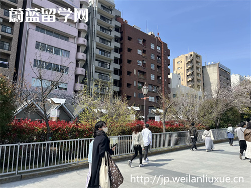 日本京都大学世界排名,赴日留学,日本留学