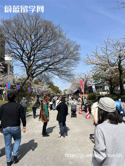 日本北海道大学,日本留学,赴日留学