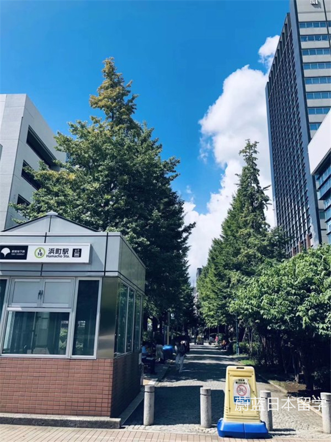 日本 SGU 项目,日本英语授课,日本留学