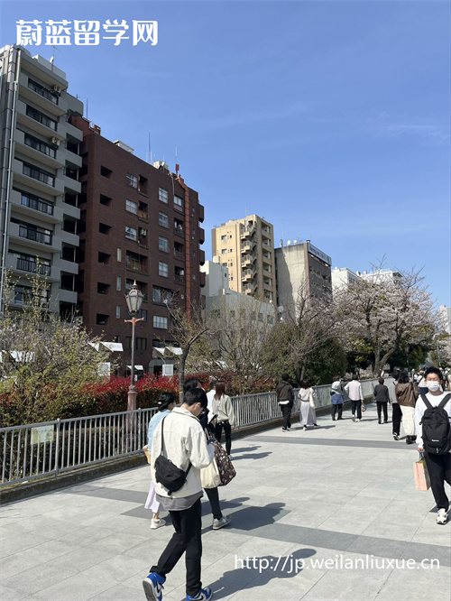日本留学条件与要求,日本留学条件,日本留学要求