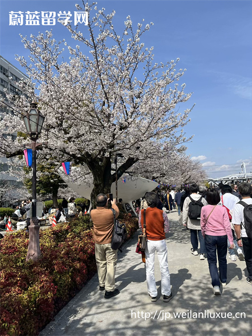 日本硕士申请条件,赴日留学,日本留学条件