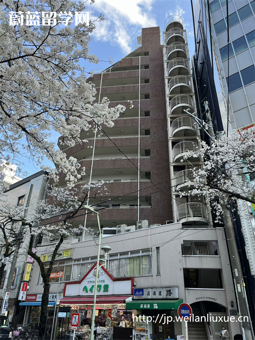 日本留学一年多少钱,日本留学费用,赴日留学