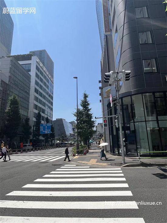 日本早稻田 SGU 的专业,日本早稻田大学,日本SGU