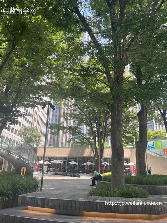 申请日本留学读研需要什么条件,日本读研条件,赴日读研