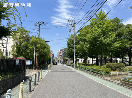 日本sgu项目有哪些大学,日本sgu项目,日本英语授课项目