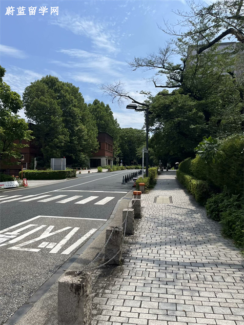 高中生留学日本大学的条件,日本留学条件,赴日留学