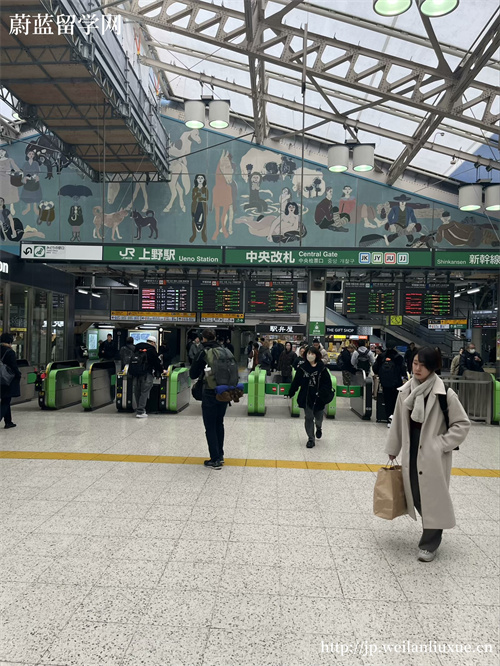 日本sgu项目申请条件,日本sgu项目,日本英语授课项目