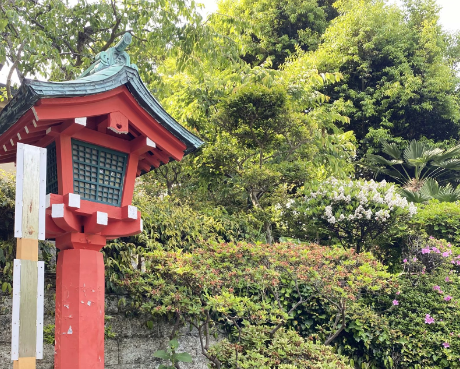 高考后去日本留学需要什么条件？