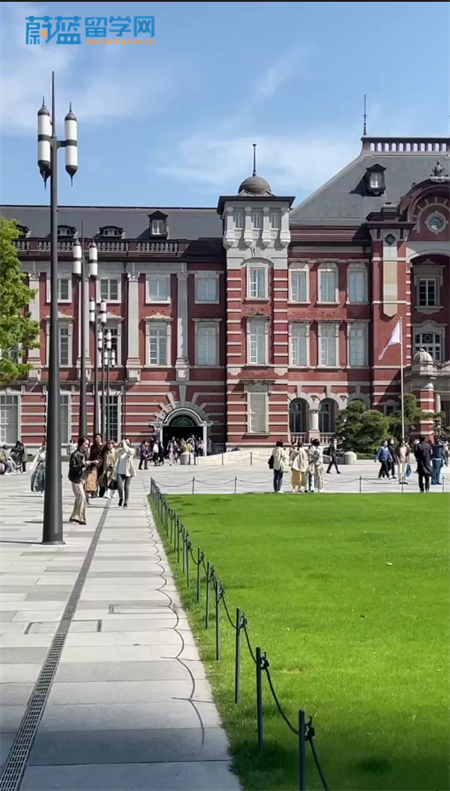 日本有哪些大学适合留学？