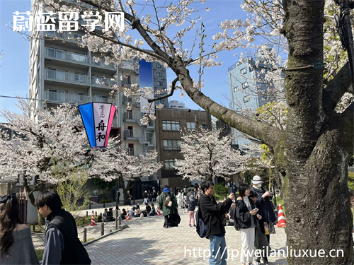 日本读研托福要求是什么？