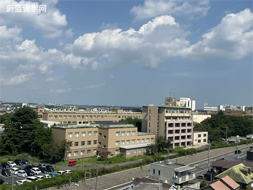日本留学英文授课项目好吗？