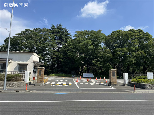 日本留学英语授课项目有哪些？