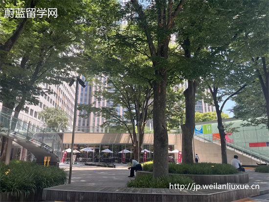 日本公立大学读研费用多少钱？