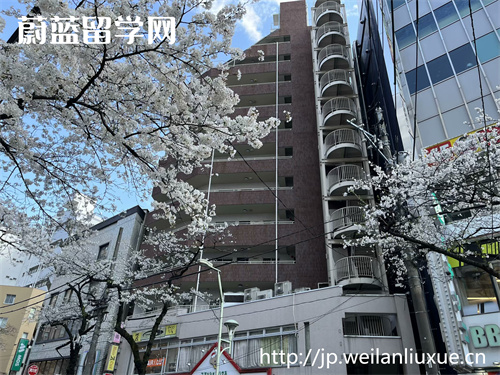 日本留学读博条件要求是什么？