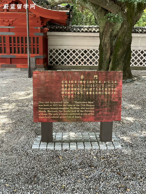 大三学生去日本读研难吗
