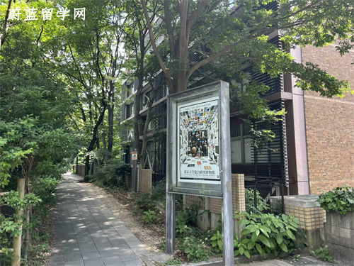 想去日本留学读本科怎么选专业？