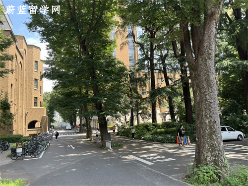 日本化学专业留学费用一年多少？