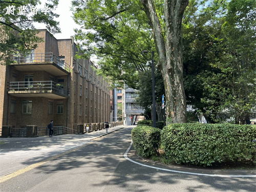想去日本东京留学学校推荐有哪些？
