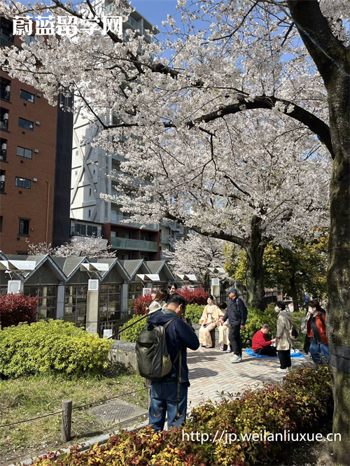 日本sgu项目是什么？