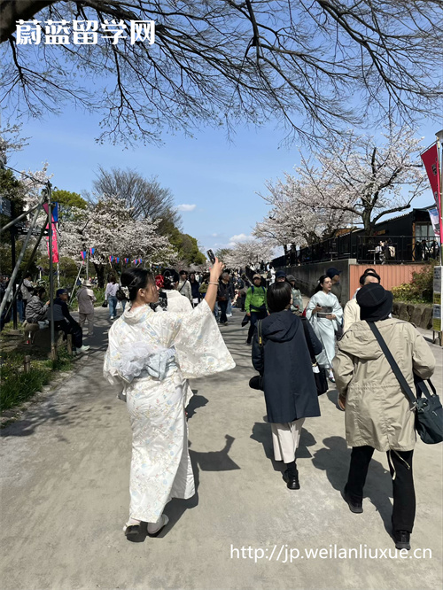 日本最好的英文授课大学有哪些? 日本最好的英文授课大学有哪些?