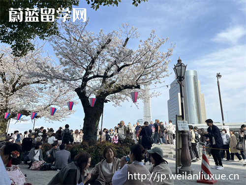 日本大学SGU英语授课硕士博士申请条件？