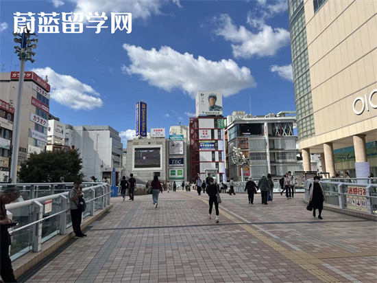 日本留学：修士预科与博士预科全解析
