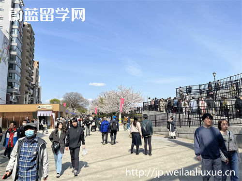 去日本读商科硕士值不值？