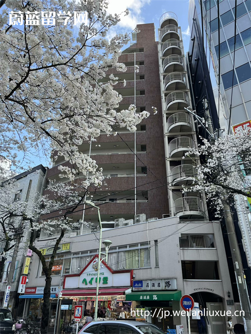 日本sgu项目本科申请条件有哪些？