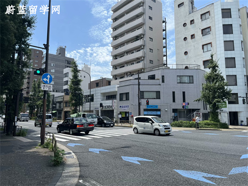 日本大学本科英语授课项目有哪些？