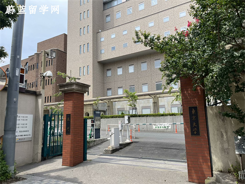 日本留学教育学专业比较好的大学有哪些？