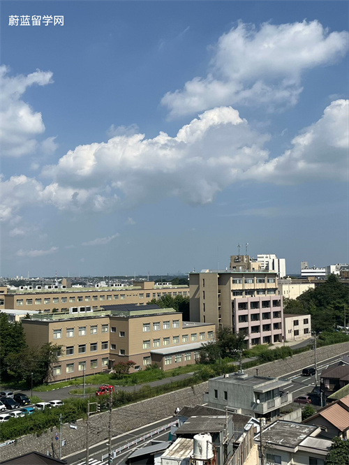 日本sgu申请流程和条件一般有哪些？