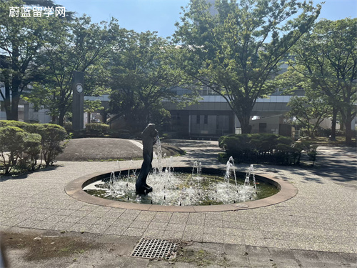 好的医学日本读博的费用是多少？