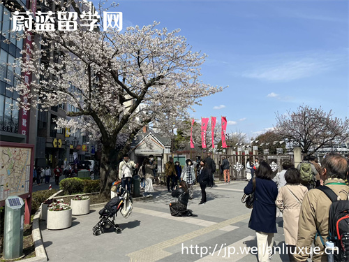 日本留学经济学专业不错的大学和申请条件