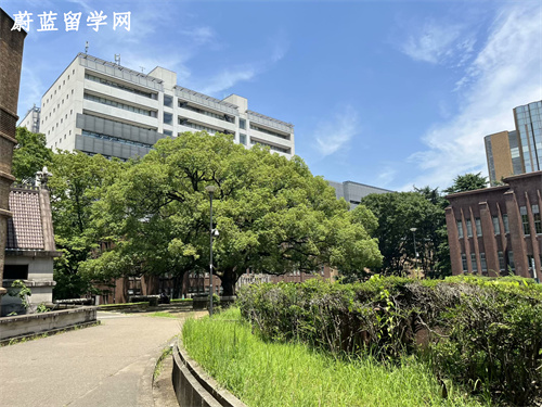 日本英文授课sgu项目有哪些大学? 日本英文授课sgu项目有哪些大学?