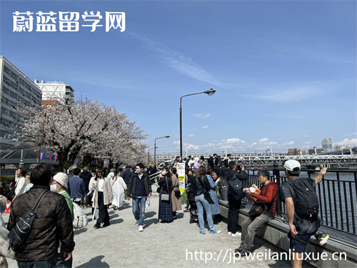 日本留学英语授课项目是什么？