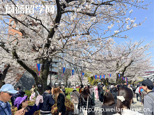 年龄大可以去日本留学吗？