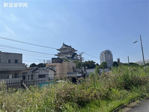 日本考研难度大吗？