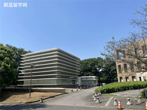 日本sgu项目有哪些大学？