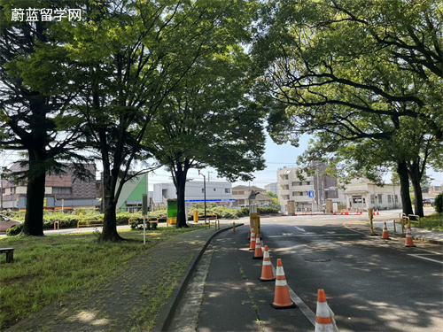 日本sgu项目申请时间及流程是怎么样？