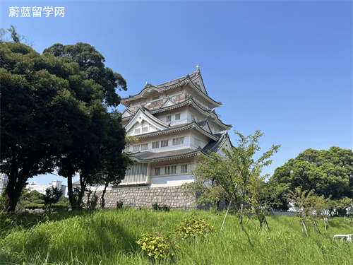 如何申请去日本读博？