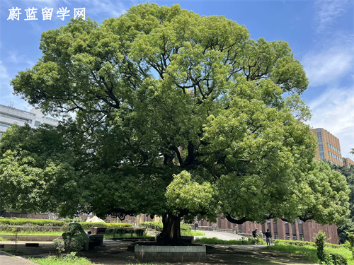 日本读研费用大概多少一年？